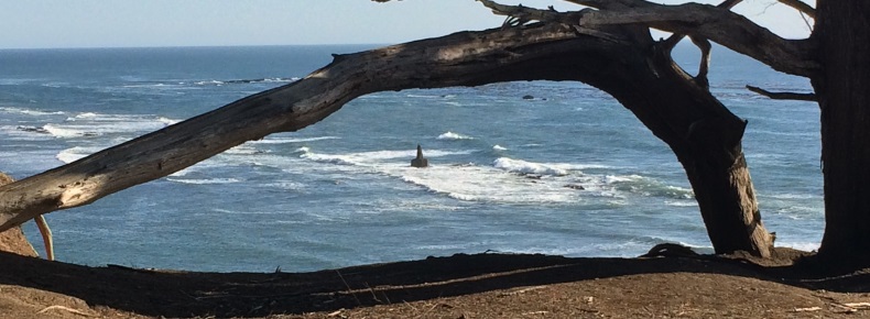 Naval Marker Viewed Through Cypress